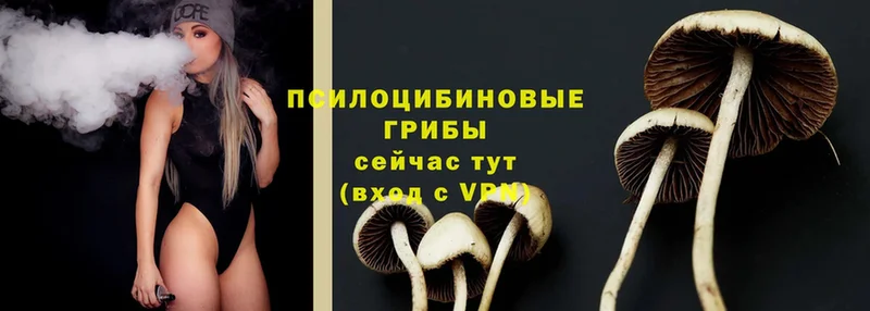 Галлюциногенные грибы MAGIC MUSHROOMS  мега как войти  Тюкалинск 